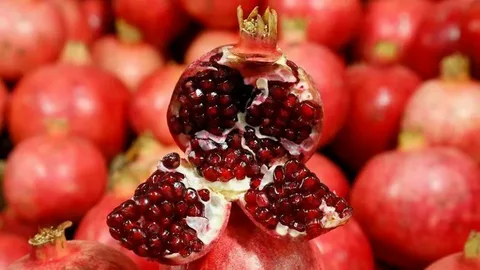 فروش انار دانه مشکی شهرضا + قیمت خرید به صرفه